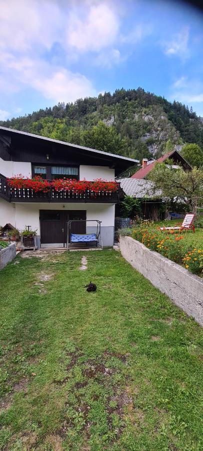 Apartma Vidic Gozd Martuljek Exterior foto